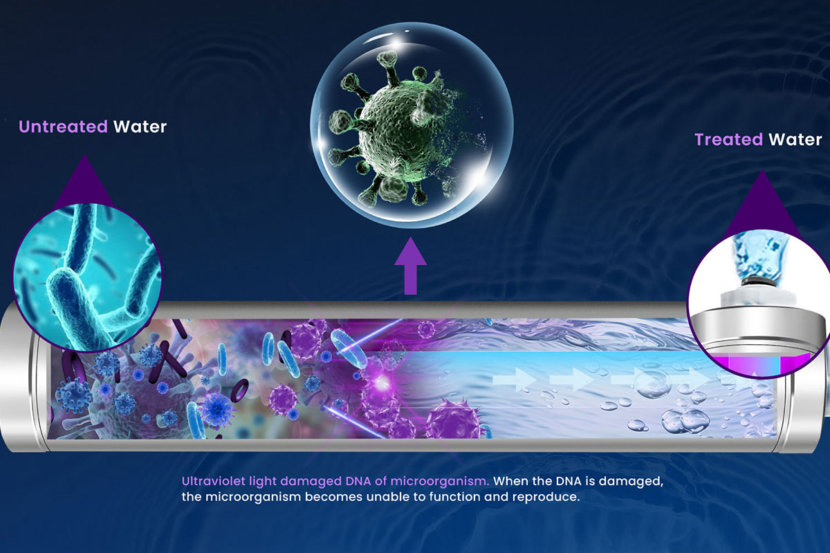 Illustration showing how UV water treatment works to kill bacteria and viruses in water How UV Water Treatment Works – Safe & Chemical-Free Disinfection Explained