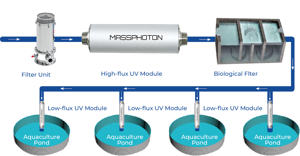 aquaculture water treatment aquaculture water treatment