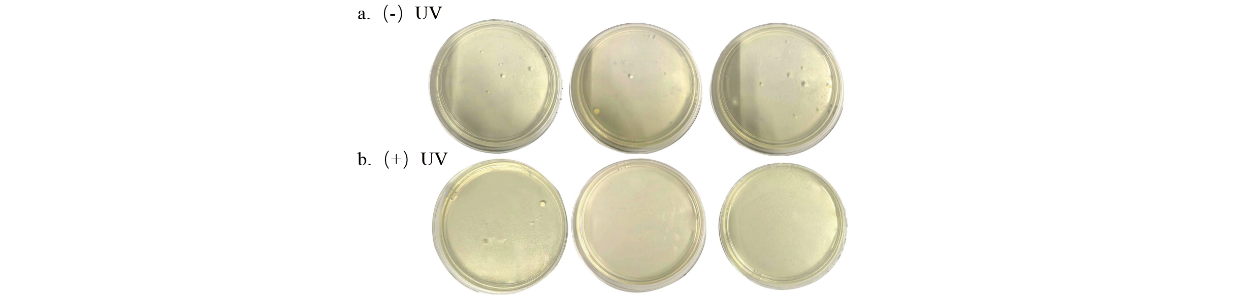 Application-of-UV-C-LED-Technology-in-Air-sterilizer-Sterilization-and-Odor-Removal(2)-32