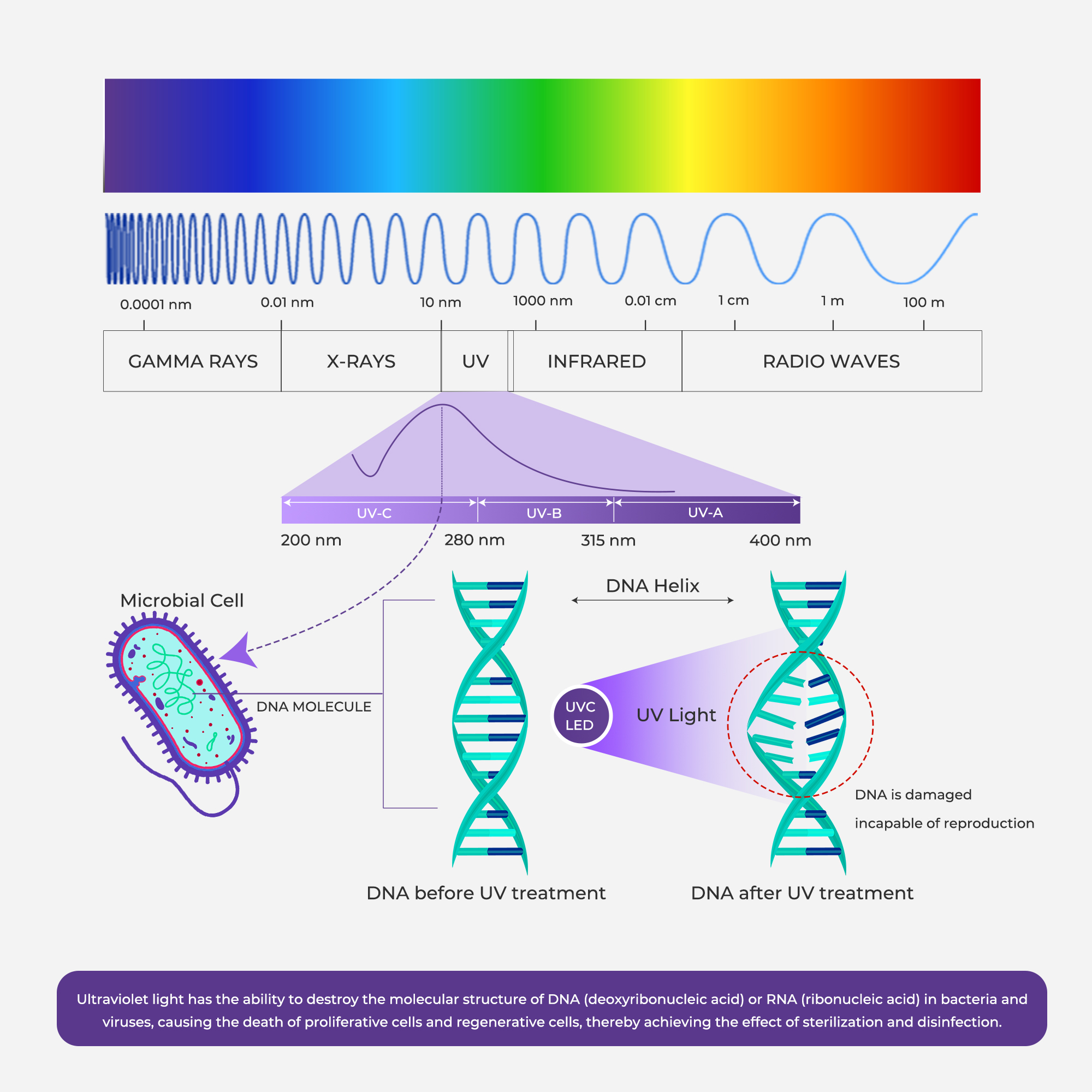 Sterilization Principle of UVC LED