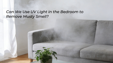 Can-We-Use-UV-Light-in-the-Bedroom-to-Remove-Musty-Smell.jpg