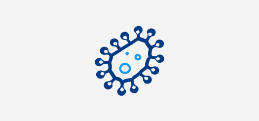bacteria