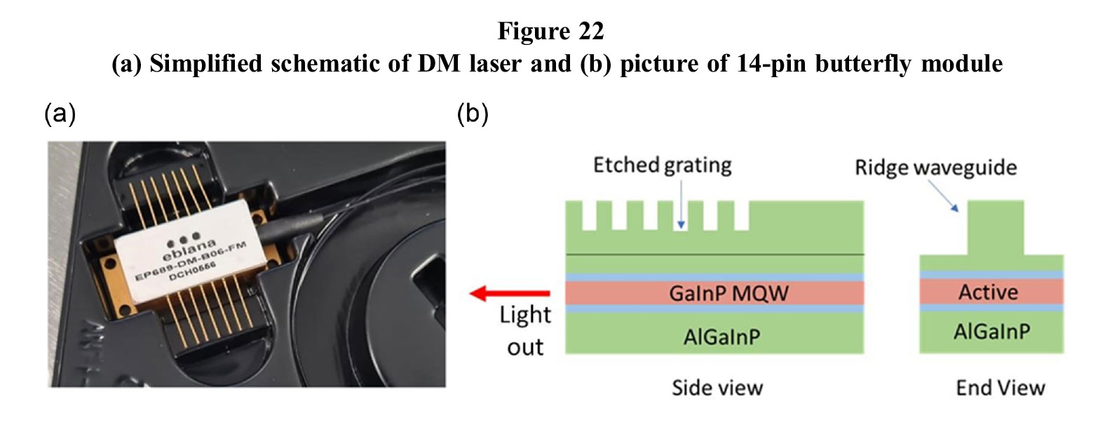 fig22