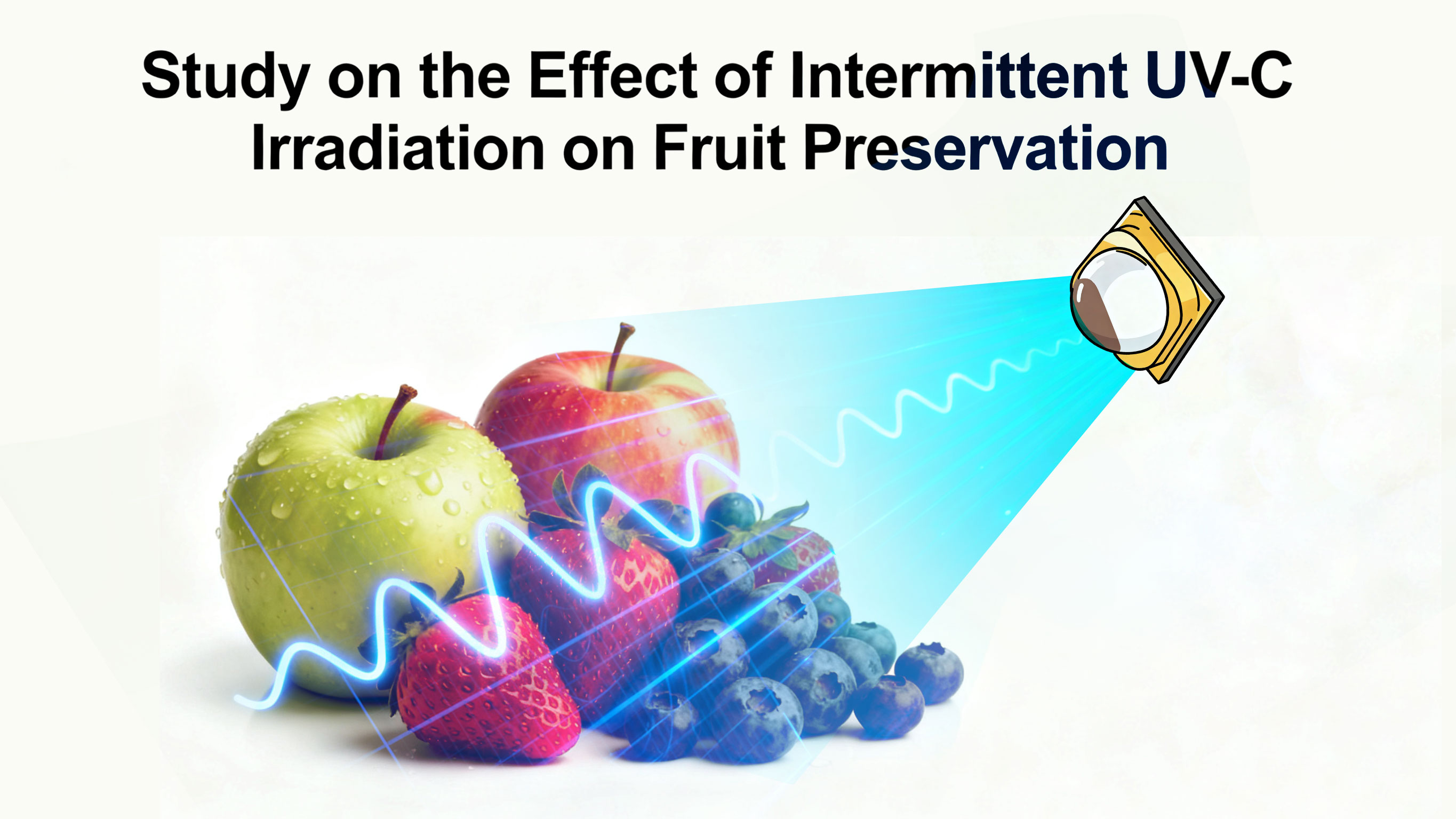 Study on the Effect of Intermittent UV-C Irradiation on Fruit Preservation