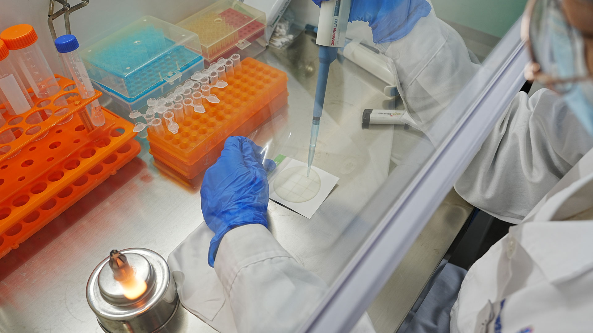 Factory & Quality Control