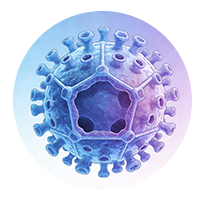 Norovirus