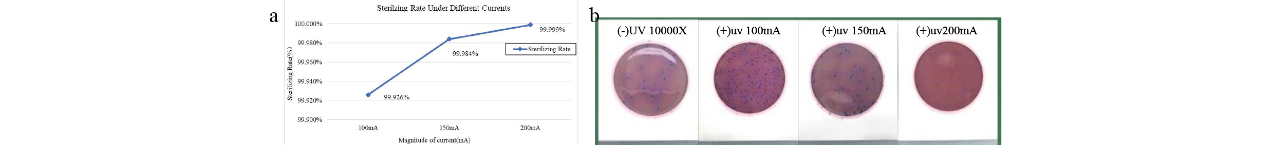 Flow-Through Water Disinfection Tests at Different Currents.