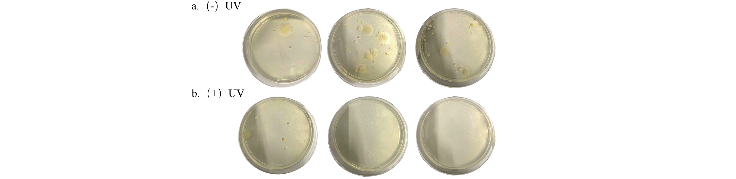 Application-of-UV-C-LED-Technology-in-Air-sterilizer-Sterilization-and-Odor-Removal(2)-3